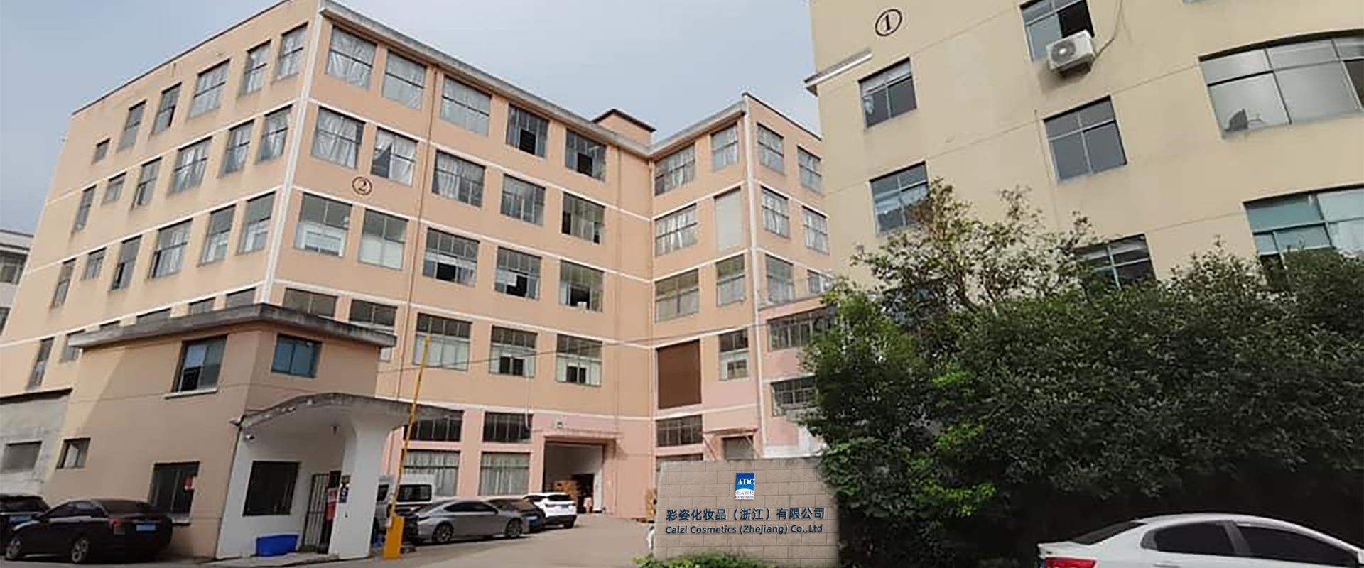 الصورة التالية