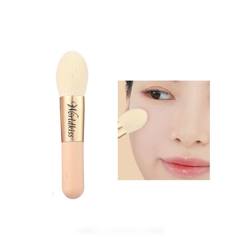 فرشاة البودرة