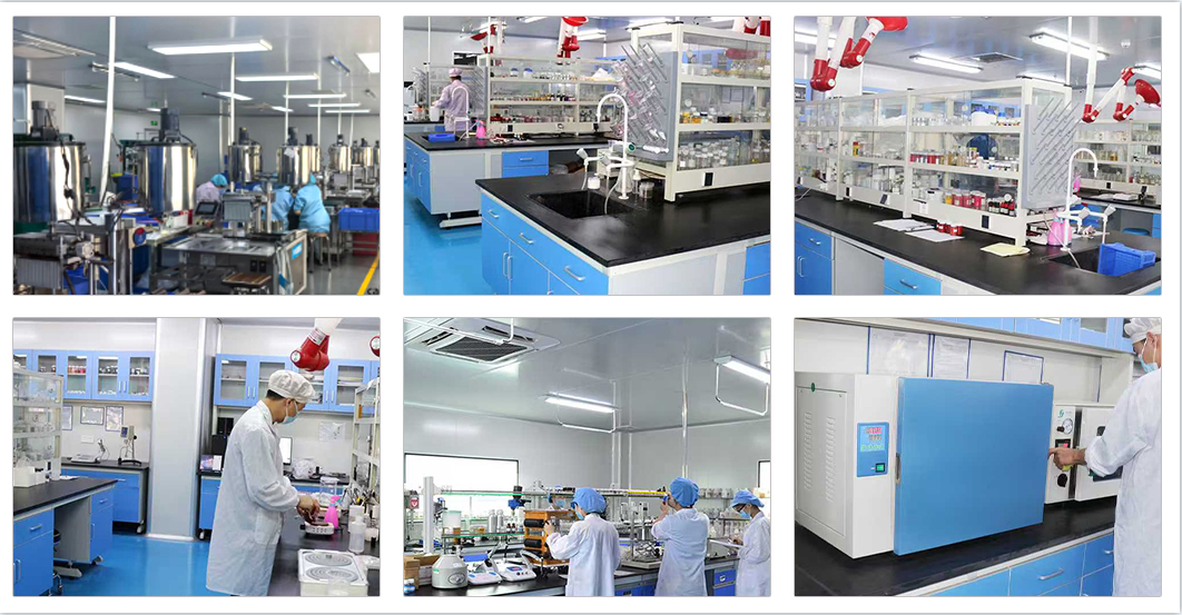 مصنع تصنيع كايزي